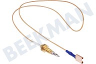 Westpoint C00052986  Cable termo adecuado para entre otros PH940MS, C649PA, XM180GD de vitrocerámica adecuado para entre otros PH940MS, C649PA, XM180GD