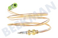 ASKO 272701  Cable termo adecuado para entre otros HG6192, HG9211, GK635 Longitud 600 mm adecuado para entre otros HG6192, HG9211, GK635