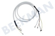 DeLonghi 5528104000  Cable adecuado para entre otros VVX810, PRO410EX2 De hierro adecuado para entre otros VVX810, PRO410EX2