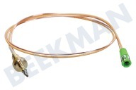 Tegran C00546476  Cable termo adecuado para entre otros AKR365WH 520 mm, 2 cables adecuado para entre otros AKR365WH