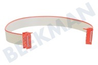 Novy 5638223 563-8223  Cable adecuado para entre otros D7180, D7090, D7240  Cable plano desde el panel de control adecuado para entre otros D7180, D7090, D7240