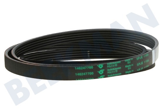 Rosenlew Lavadora Correa poly-V 5PJE 1199