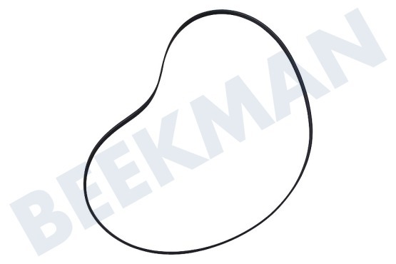 Ariston-Blue Air Lavadora 141664, C00141664 Correa poly-V 1205 J5 / 1208 J5 TEM