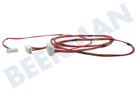 Indesit Lavadora Conjunto de cables Cerradura de puerta + bomba de drenaje