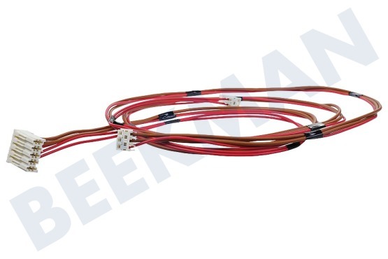 Indesit Lavadora Conjunto de cables Cerradura de puerta + bomba de drenaje