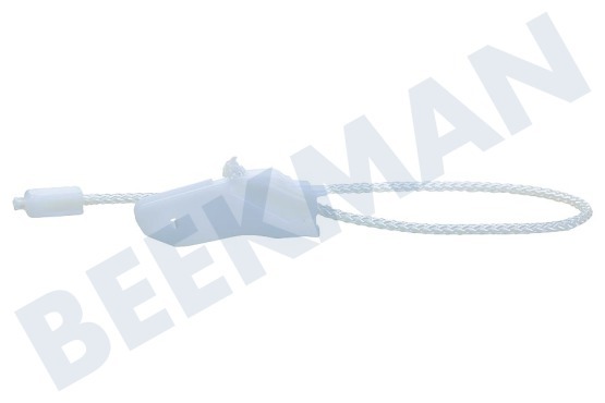 Siemens Lavavajillas 636603, 00636603 Cable Cuerda para bisagra