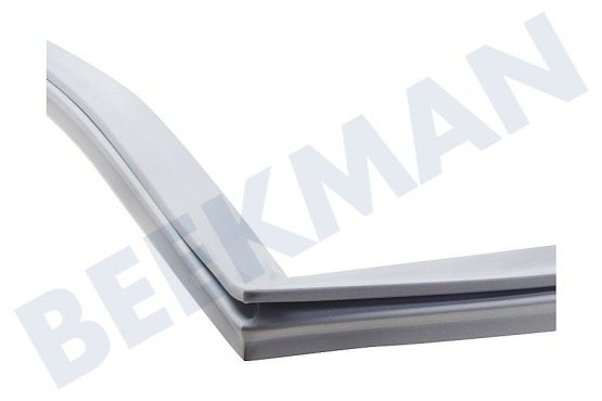 Liebherr Refrigerador Junta 890x525mm, Sección de refrigeración