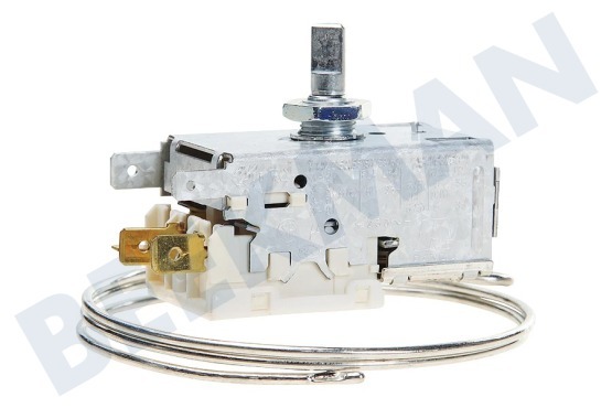 Hanseatic Refrigerador Termostato K59L1942500
