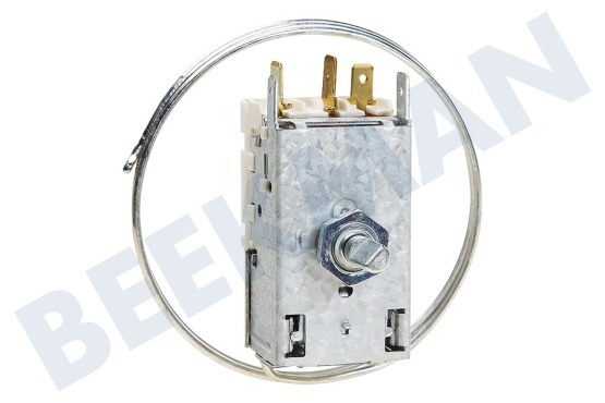 Hanseatic Refrigerador Termostato K59L1942500