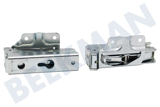 Private label Refrigerador Bisagra Conjunto, izquierda y derecha