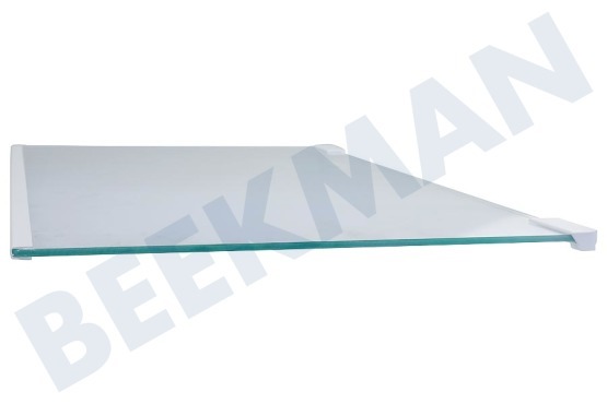 Rosenlew Refrigerador 2109403036 Placa de vidrio completa