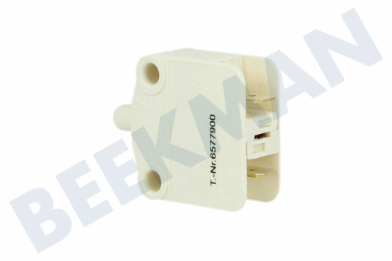 Miele Interruptor romper la puerta