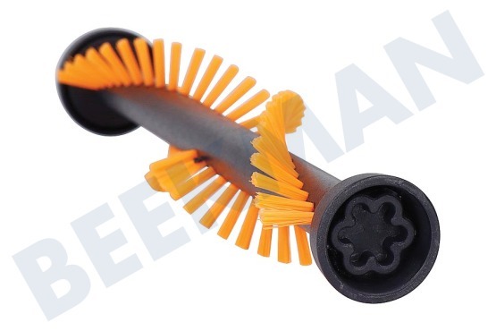 AEG Aspiradora Cepillar