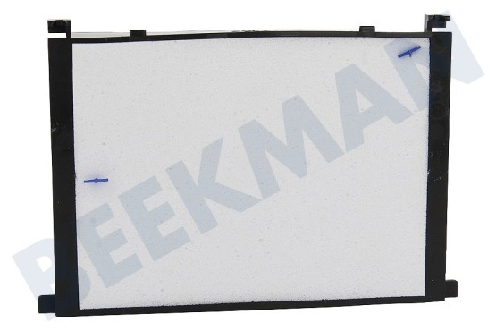 Bosch Aspiradora 17002210 Filtro de motor