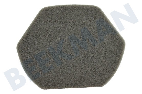 Bosch Aspiradora 12012937 filtro de espuma