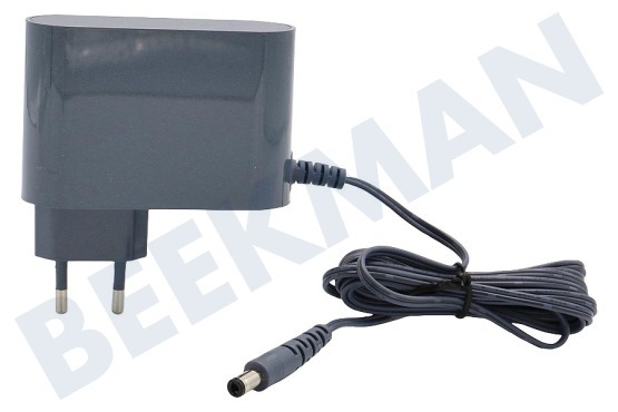 Rowenta Aspiradora SS-2230002365 Adaptador