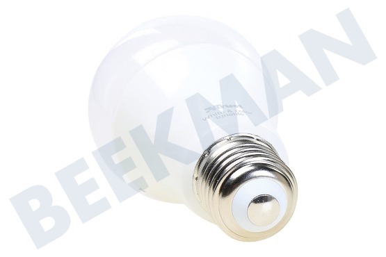 Trust ZLED-RGB9 Lámpara regulable E27 LED RGB