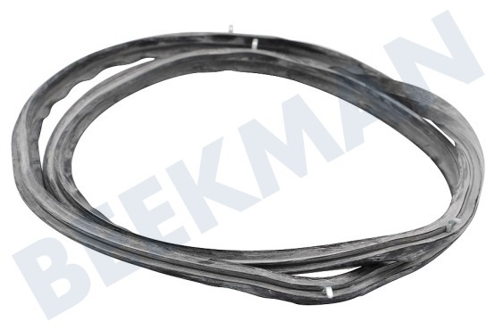 AEG Horno-Microondas 3873369007 Sellado de caucho