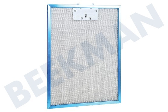 Turbo Campana extractora Filtro de metal 247x327mm