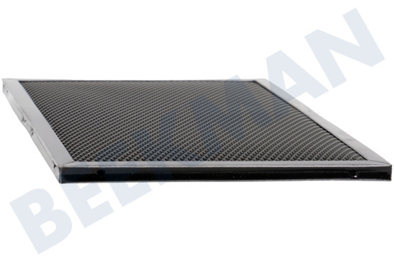 AEG Placa Filtrar