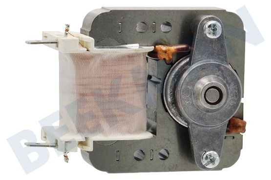 Progress Horno-Microondas motor