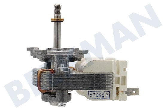 Progress Horno-Microondas motor