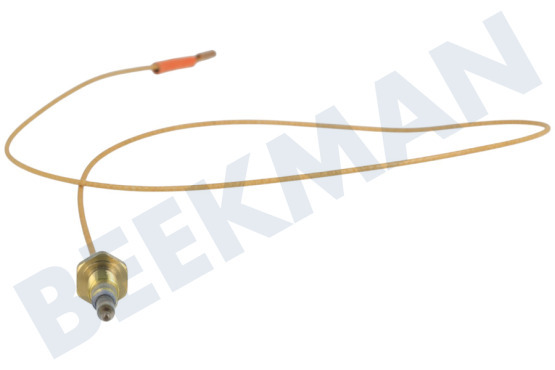 Indesit Cocina 52986, C00052986 Cable termo de vitrocerámica