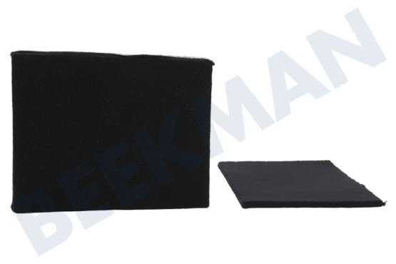 Bosch Campana extractora Filtro Filtro de carbón Eurofilter, 2 piezas