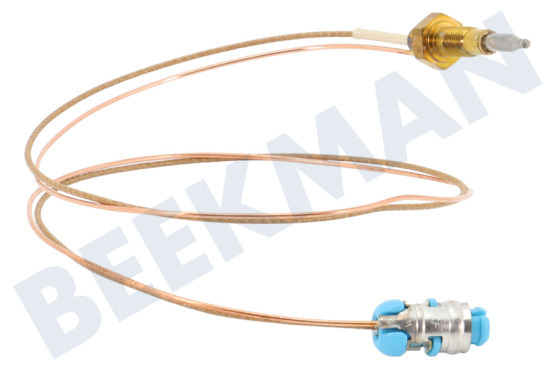 Neff Placa Cable termo 550 mm