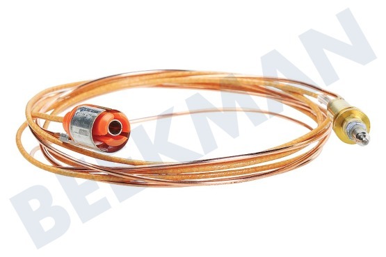 Constructa Placa 12012623 Cable termo 850 mm