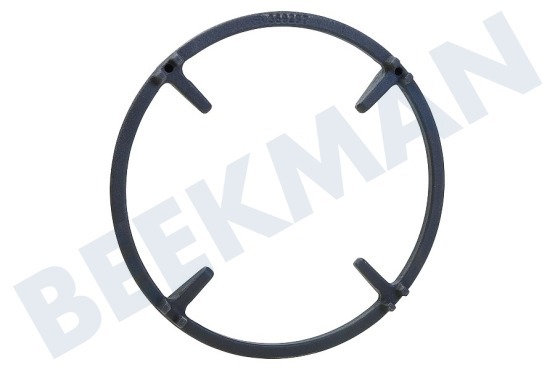 Bosch Placa 17003263 Anillo trabajando