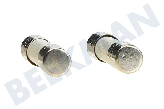 Aeg electrolux Horno-Microondas 00612920 Fusible 8A, 250 voltios