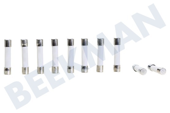 Constructa Horno-Microondas 00152386 Fusible Cerámica 6x32, 10 Amperios Fuerte
