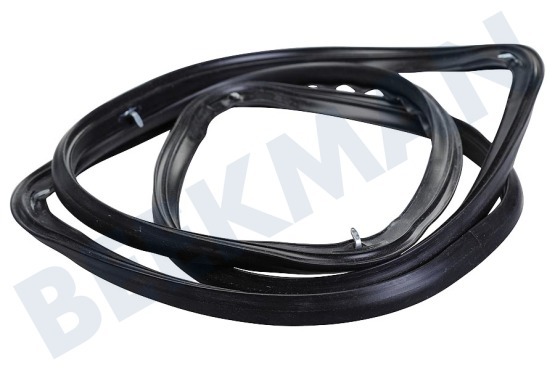 Whirlpool Horno-Microondas 480121101444 Junta de la puerta
