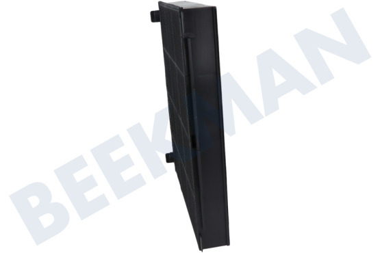 Ignis Campana extractora Filtro Carbono 225x210x30mm