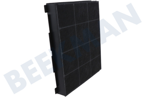 Ignis Campana extractora Filtro Carbono 225x210x30mm