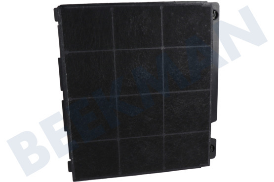 Ignis Campana extractora Filtro Carbono 225x210x30mm