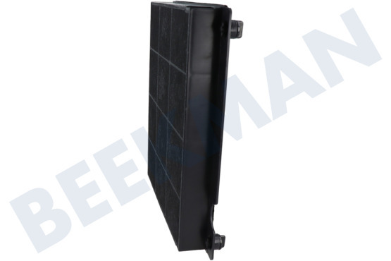 Ignis Campana extractora Filtro Carbono 225x210x30mm