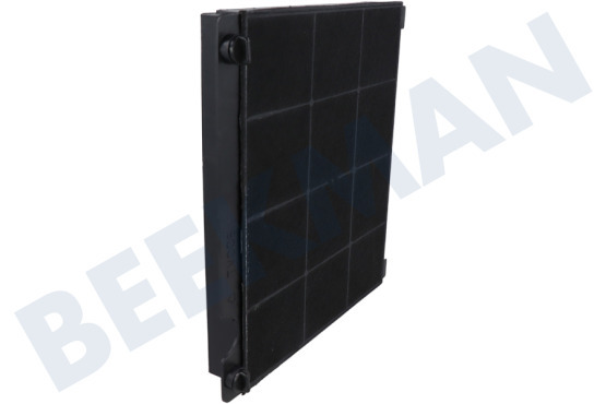 Ignis Campana extractora Filtro Carbono 225x210x30mm