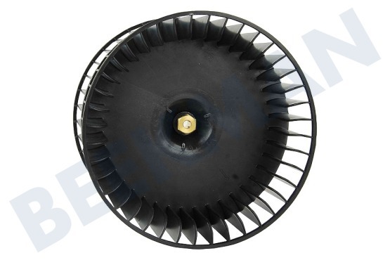 Hotpoint-ariston Campana extractora Ventilador