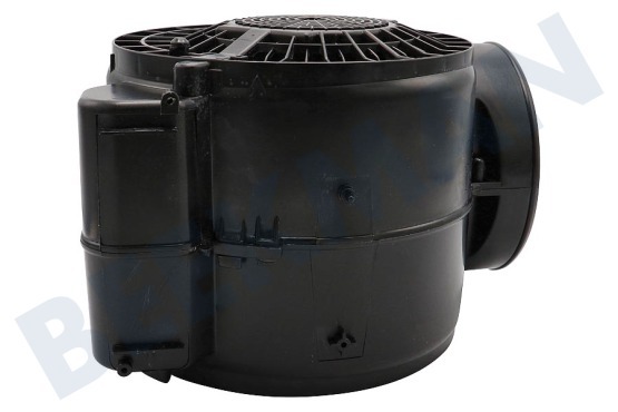 Bauknecht Campana extractora Motor De campana extractora