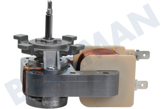 Bauknecht Horno-Microondas Motor del ventilador