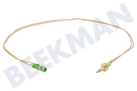 Pelgrim Placa 169519 Par termoeléctrico
