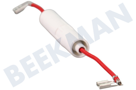 Samsung Horno-Microondas DE91-70061A Fusible 5kV 0,8 Amperios