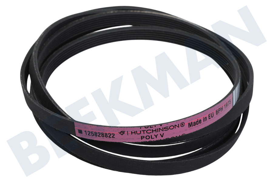 Hutchinson Secadora Correa poly-V 7PH 1975 H7