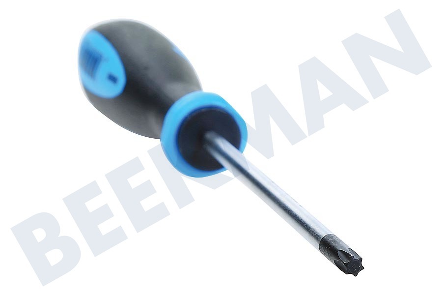 Witte 98909 Destornillador Torx Protop II T25 M4