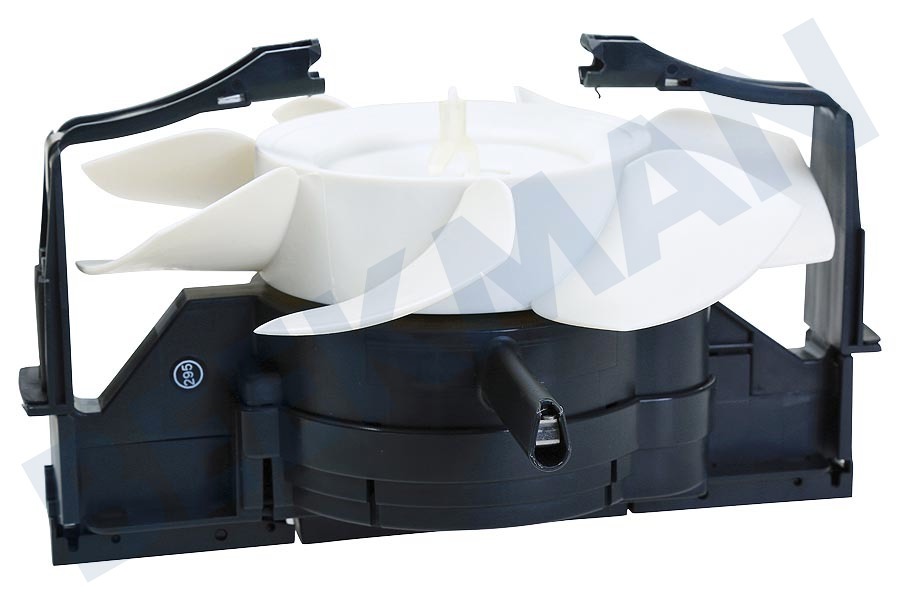 Venta Antracita del motor