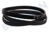 Privileg Lavadora Correa poly-V 1239 PJE J5 TEM