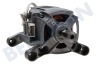 Aeg electrolux Lavadora Motor Completo, 5 contactos