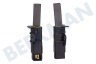 AEG Lavadora Escobilla de carbón En soporte (derecha) Schunk 5x12,5mm
